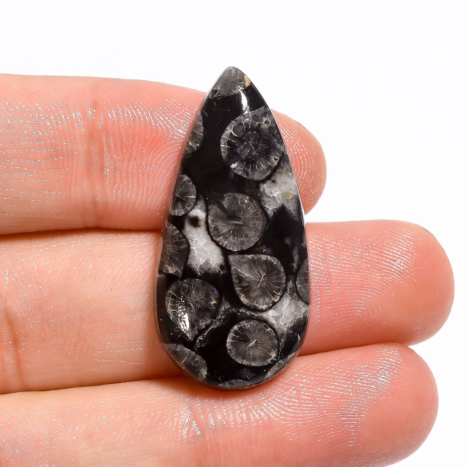 Black Fossil Coral Pear Shape Cabochon Natural Loose Gemstone 24 Ct. 33x16x5 Mm