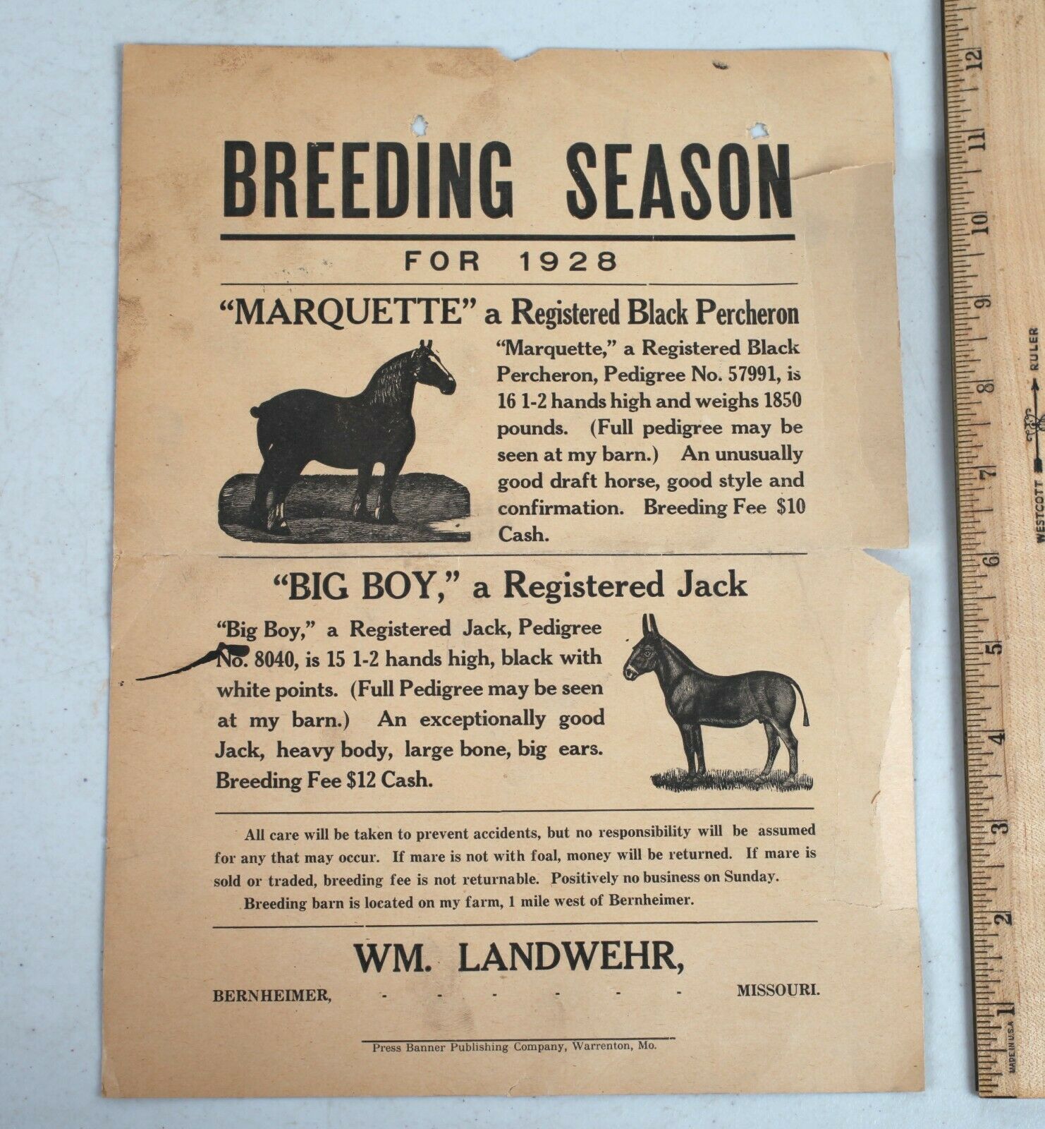 1928 Breeding Season Auction Flyer Handbill Horse Donkey Bernheimer Missouri