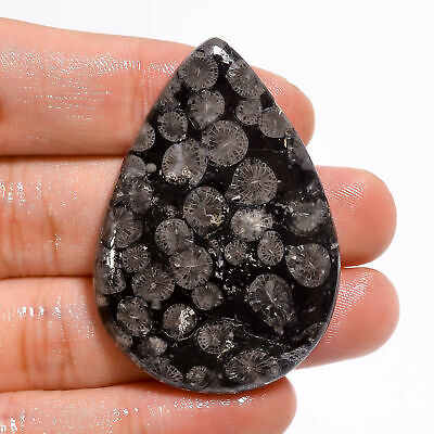 Black Fossil Coral Pear Shape Cabochon Natural Loose Gemstone 68 Ct. 47x33x6 Mm